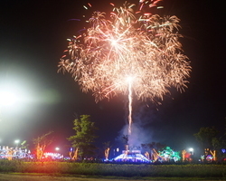 2015.08.14 축제장 內 이미지
