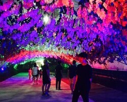 닉네임 s2eul_71_