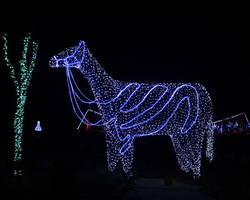 LED 말